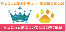 ちょこっと箔もレギュラー箔料金で！ちょこっと箔についてはこちら！